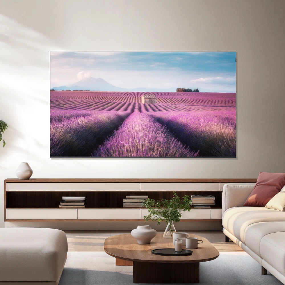 TCL 85C6K — функциональные возможности и разъёмы
