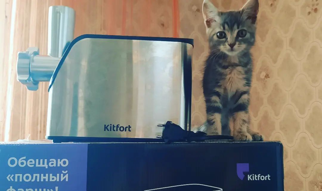 Kitfort КТ-2104 мясорубка на кухонной столешнице общий вид рабочего места