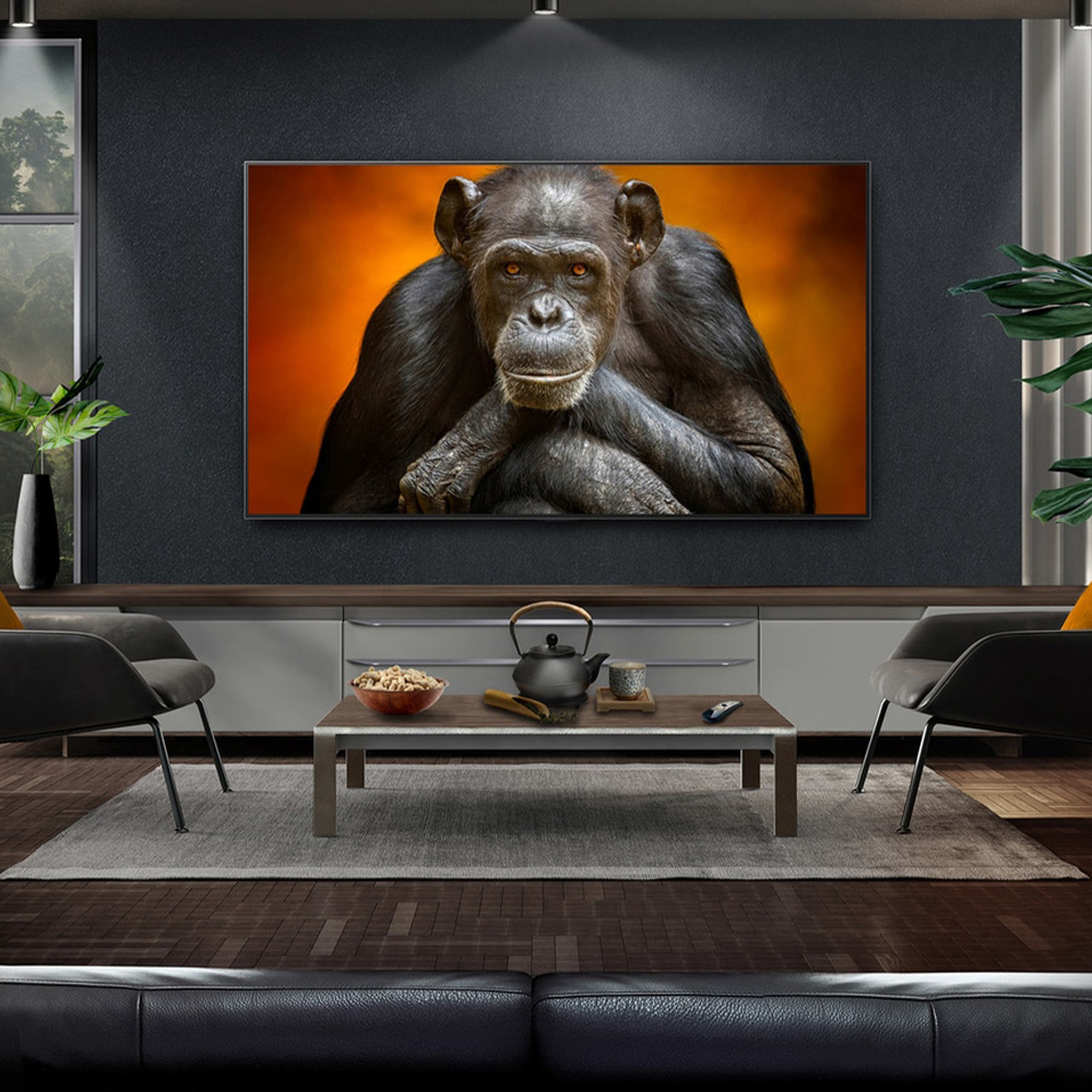 LG OLED97G5RLA — 100% цветовой охват DCI-P3, насыщенность цветов