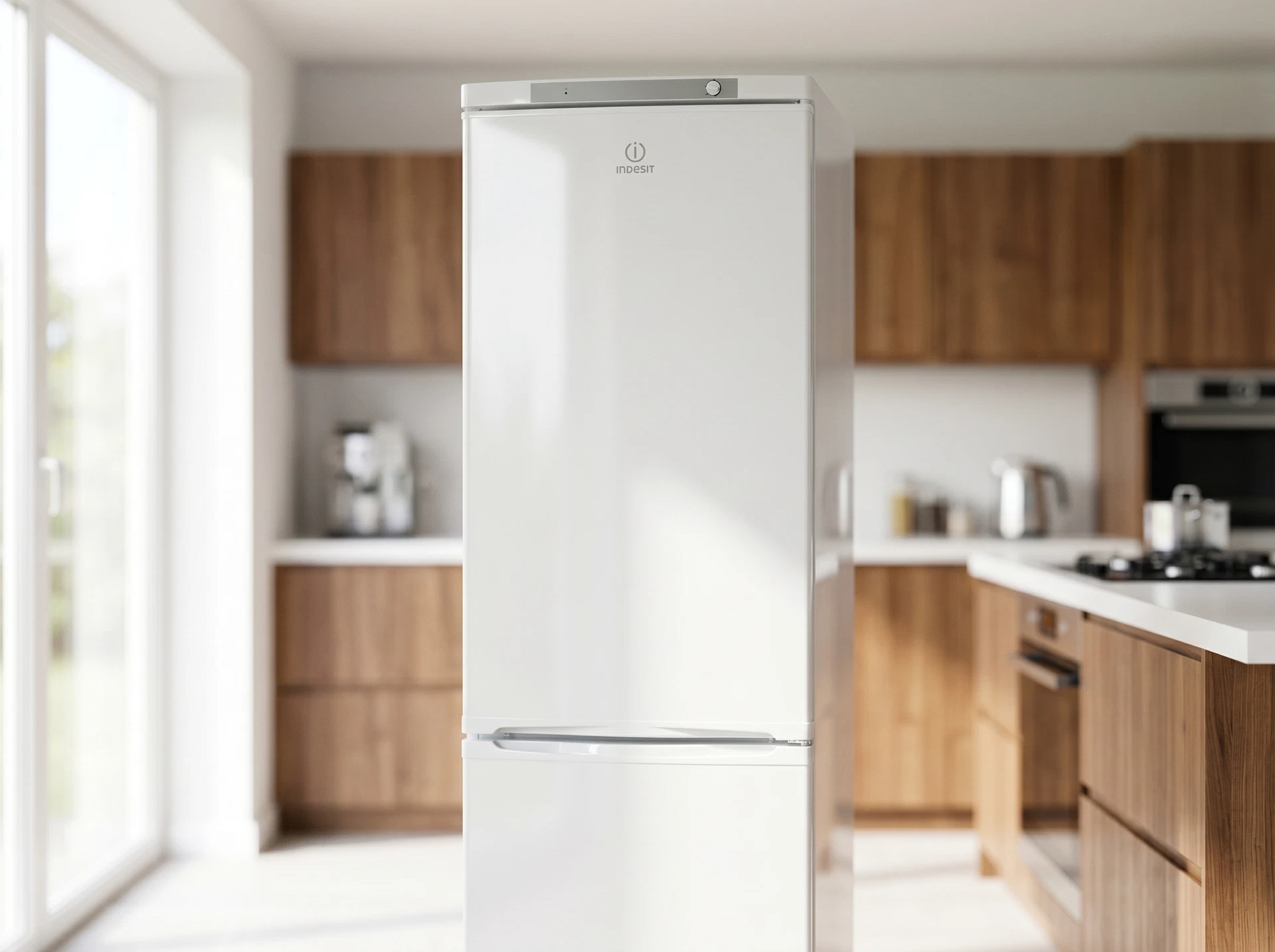 Холодильник Indesit ES 18 A - фото в интерьере