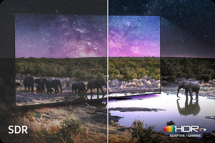 Neo Quantum HDR+: сравнение HDR10+ и SDR