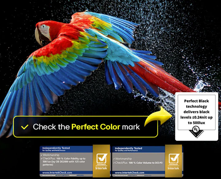 LG OLED C5 Perfect Color &mdash; широкий охват и точная цветопередача